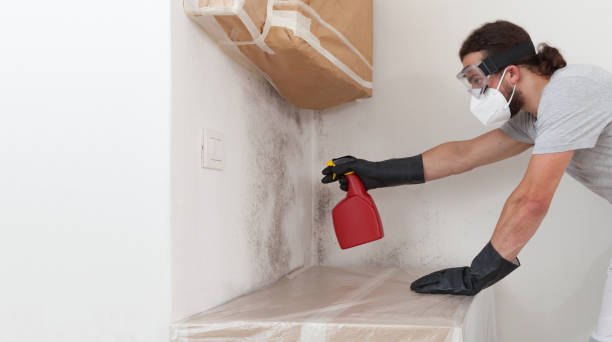 Professional Attic Mold Remediation technician working in Melville, NY