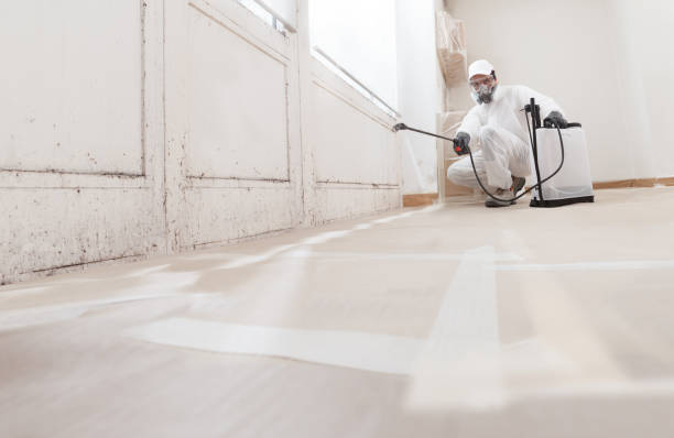 24/7 Emergency Attic Mold Remediation experts in Melville, NY